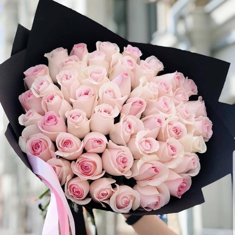 51 Нежно-Розовая Роза